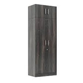 True living 2 Loft Door Brown wardrobe Laminated Finish & PU Finish (3 Ft*2 Ft*8 Ft)